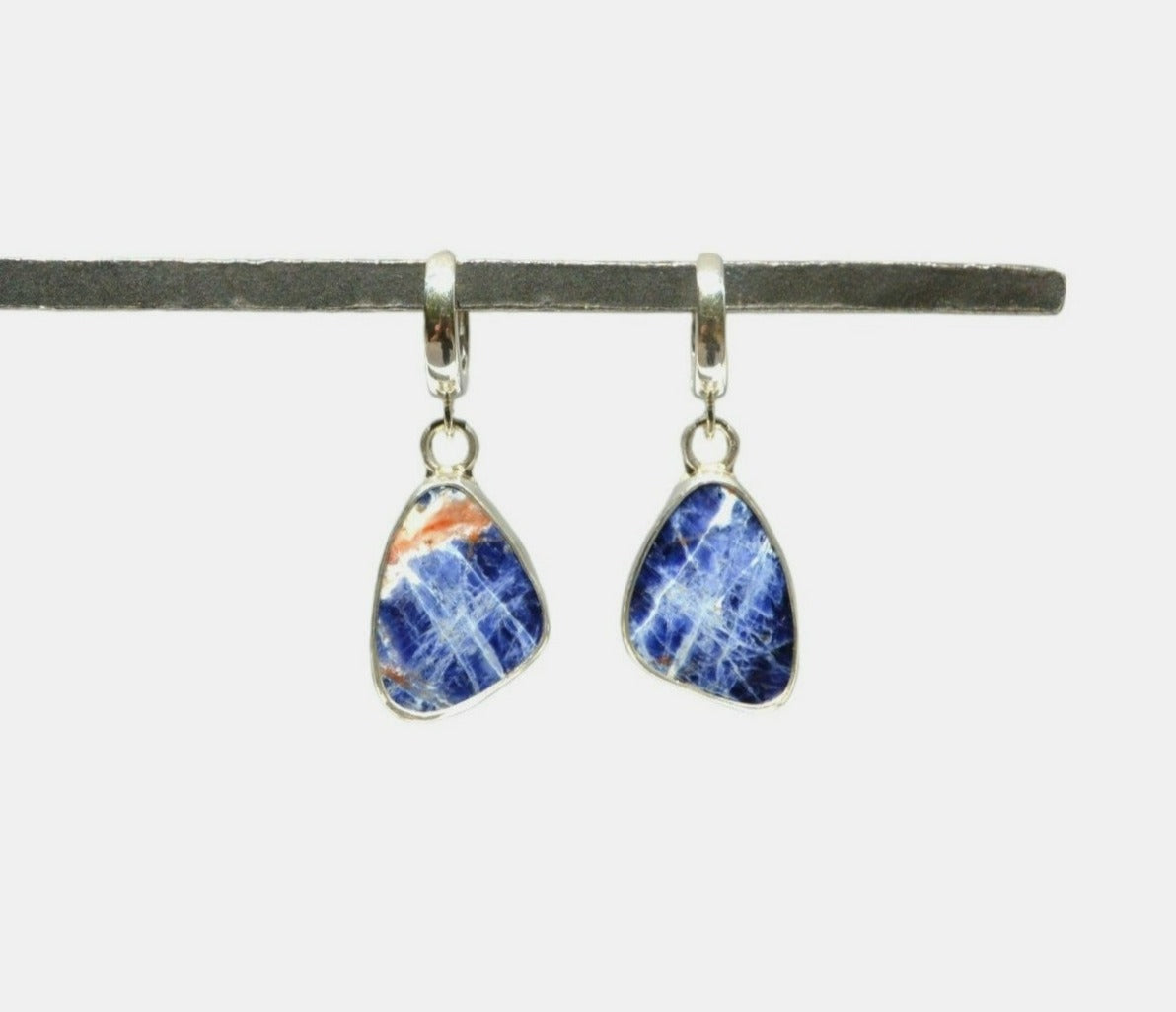 Blue Jean Sodalite Dangle Earrings