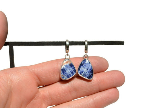 Blue Jean Sodalite Dangle Earrings