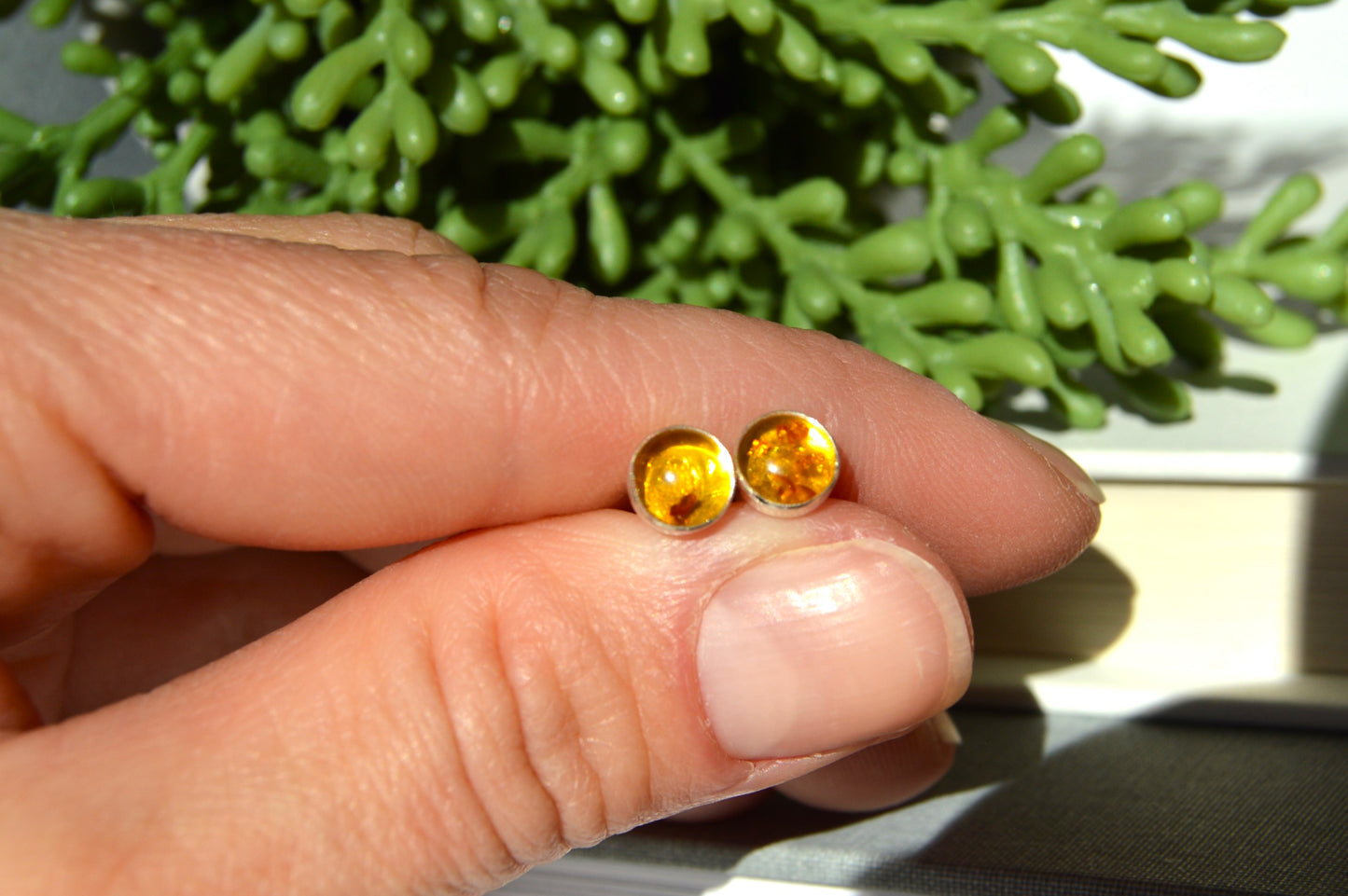 Amber Stud Earrings