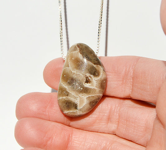 Petoskey Stone Necklace