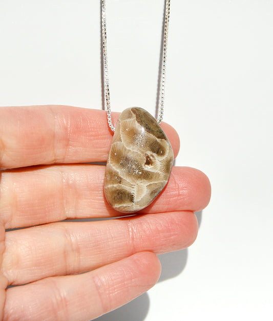 Petoskey Stone Necklace