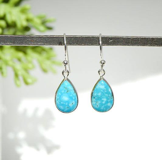 Turquoise Dangle Earrings